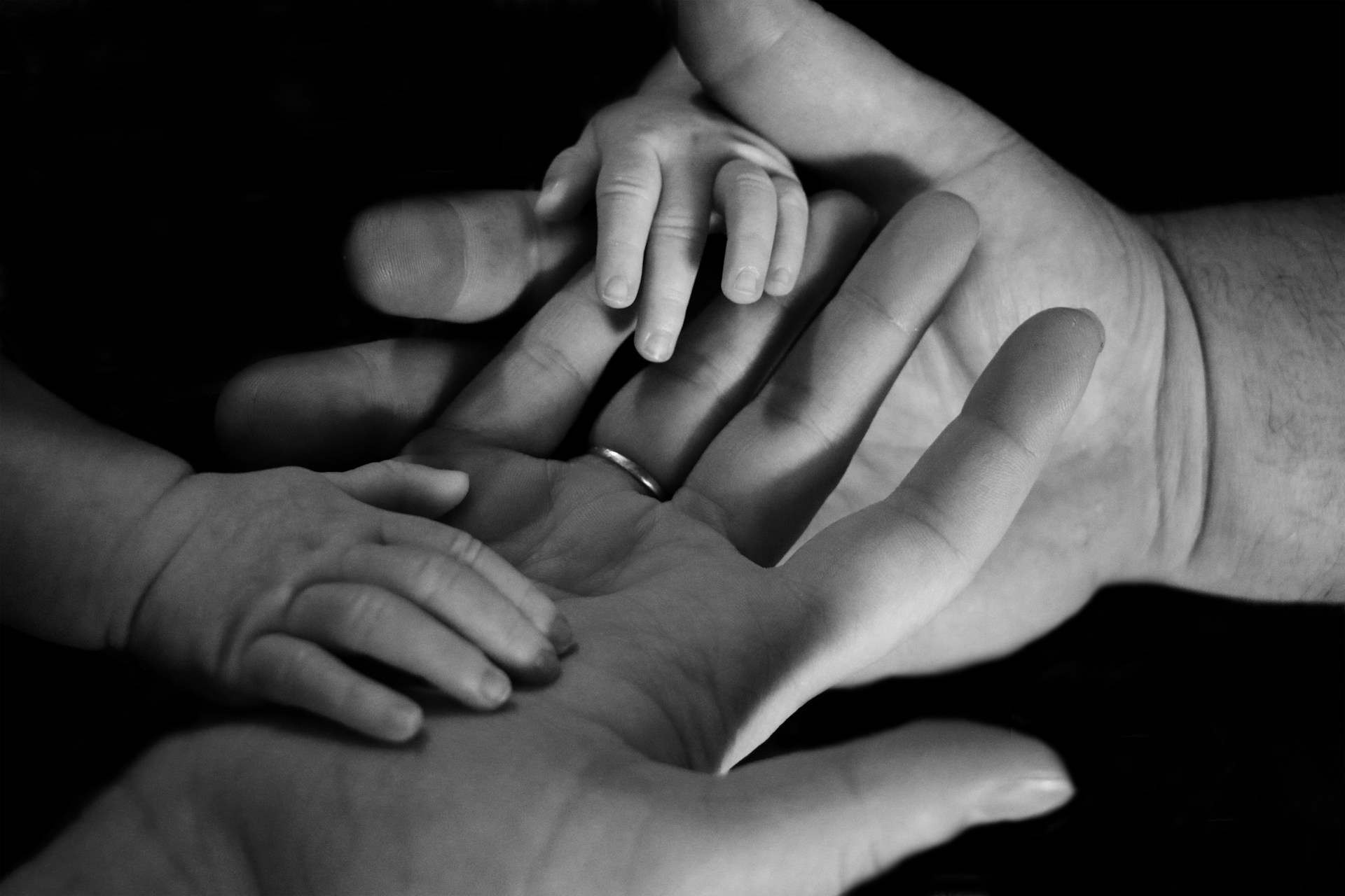 Would You Rather Have A Very Big Or Very Small Family?