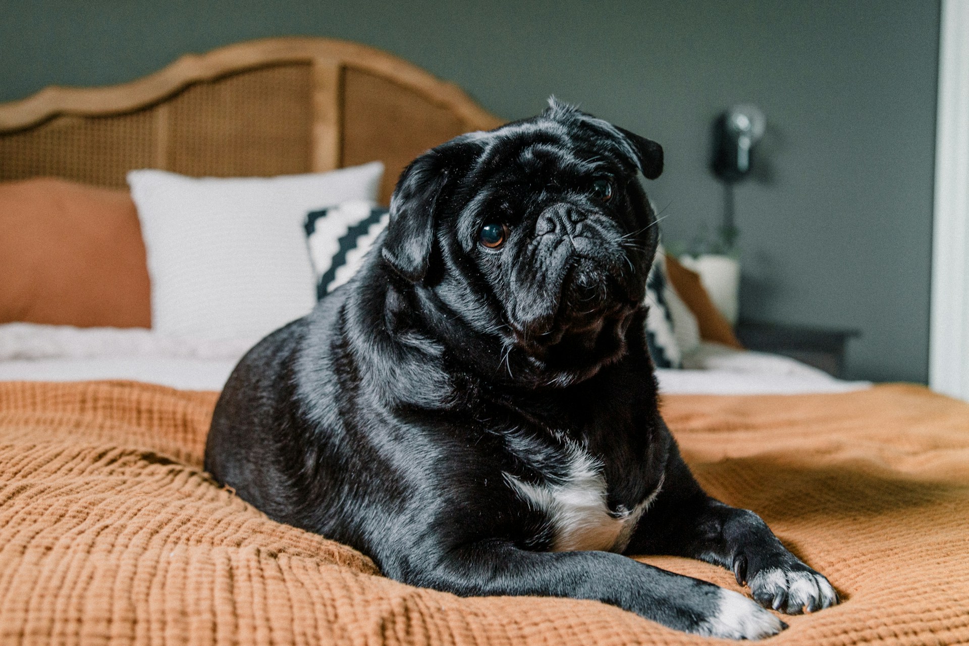Would You Rather Always Have Hiccups Or Always Be Gassy?