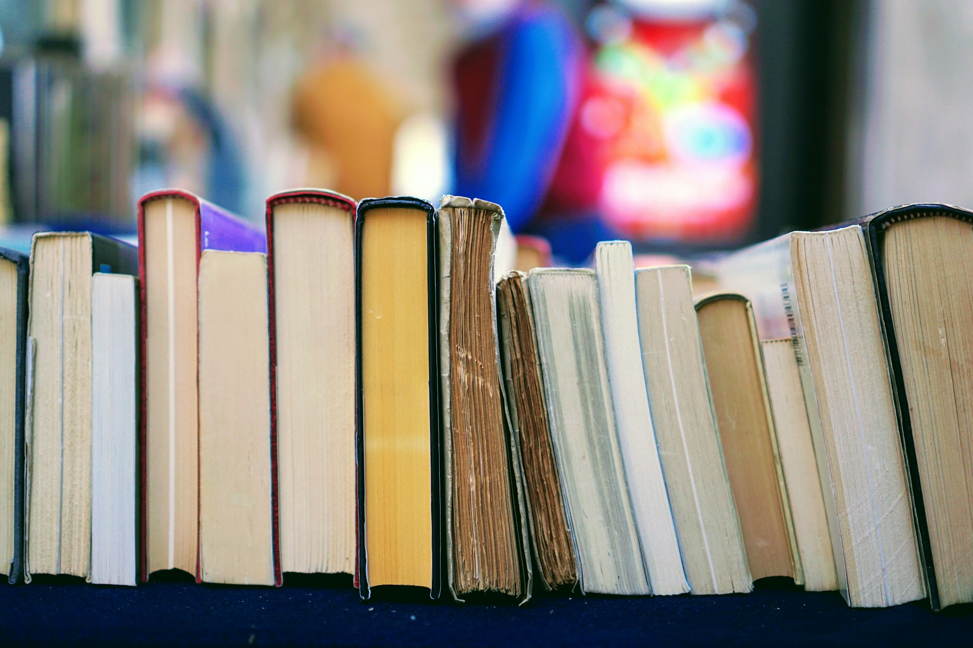 Would You Rather Never Watch TV Again Or Forget How To Read?