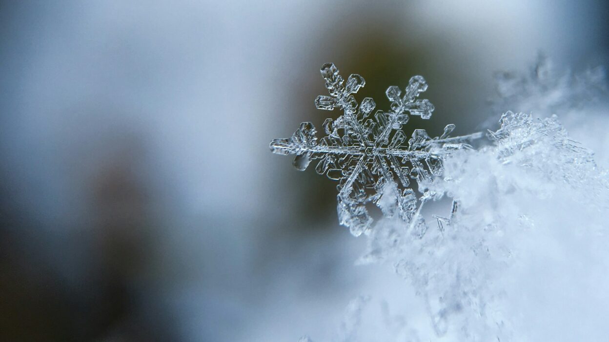Would You Rather Have 1 Year Of Summer Or 1 Year Of Winter?