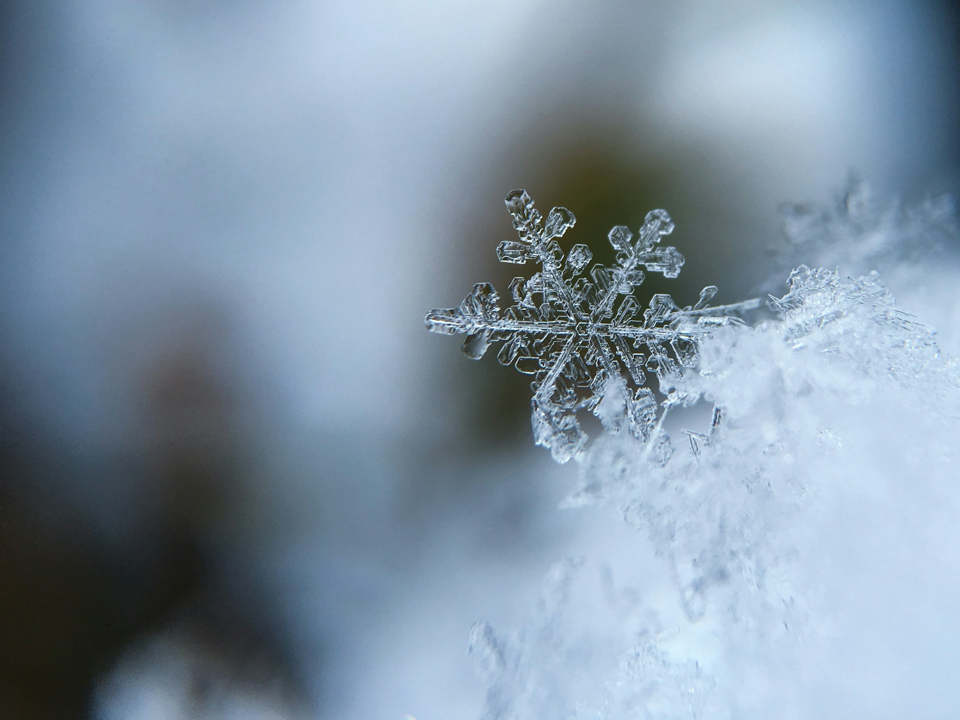Would You Rather Have 1 Year Of Summer Or 1 Year Of Winter?