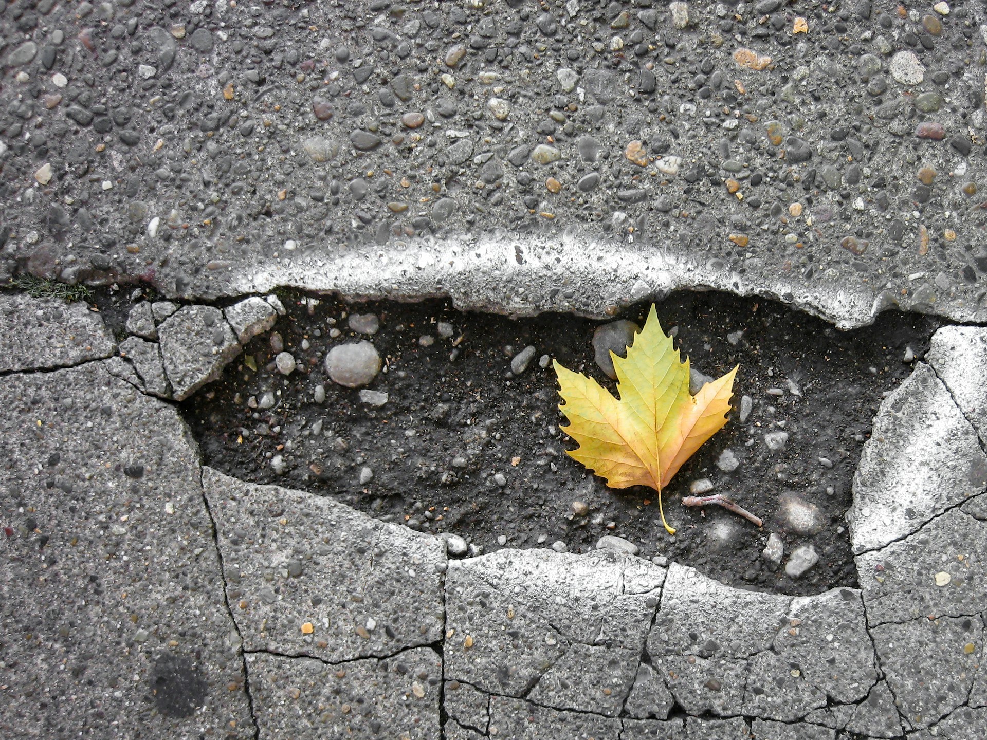 Would You Rather Never Drive Over A Pothole Again Or Never Get A Paper Cut?