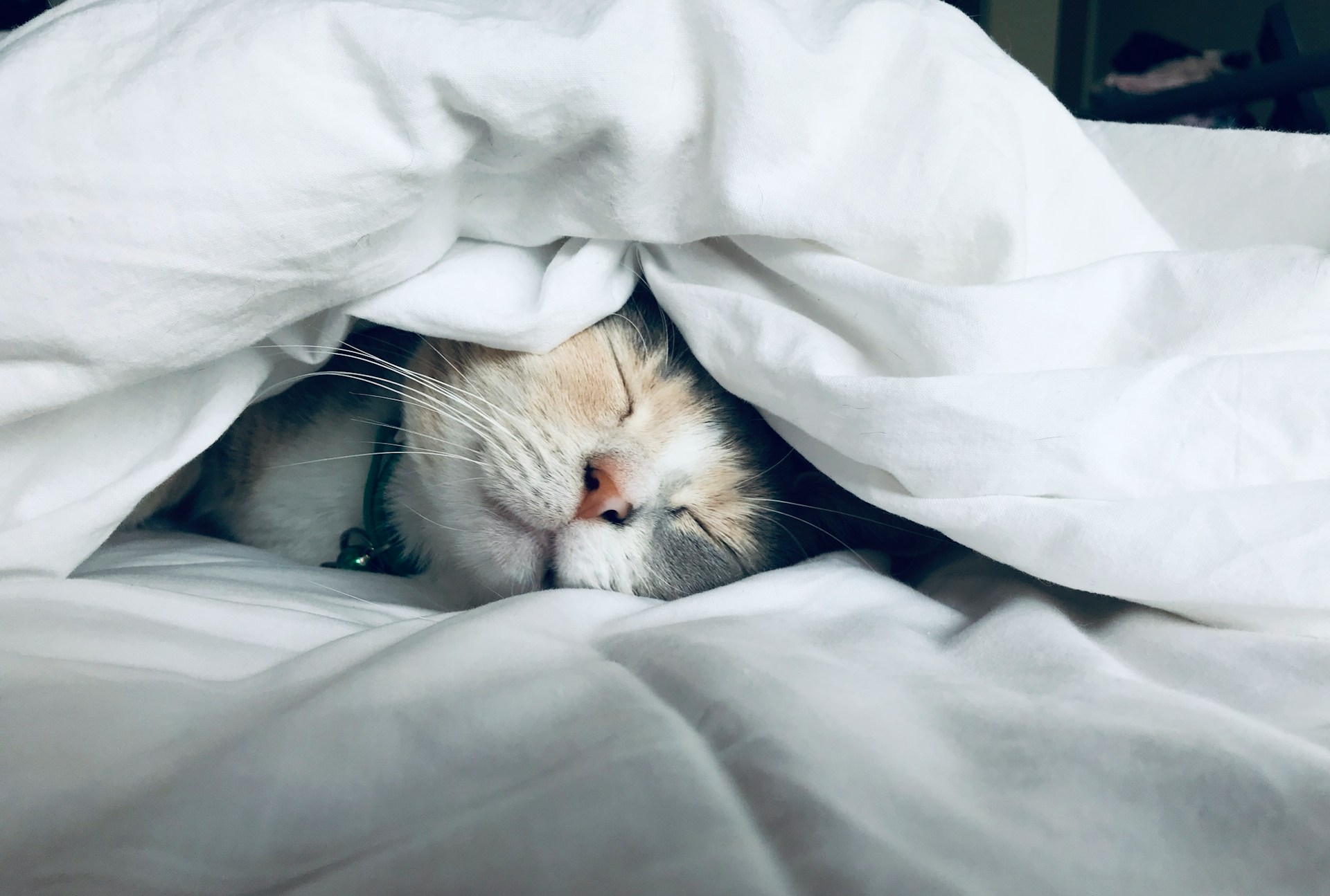 Would You Rather Never Need To Sleep Or Eat Ever Again?