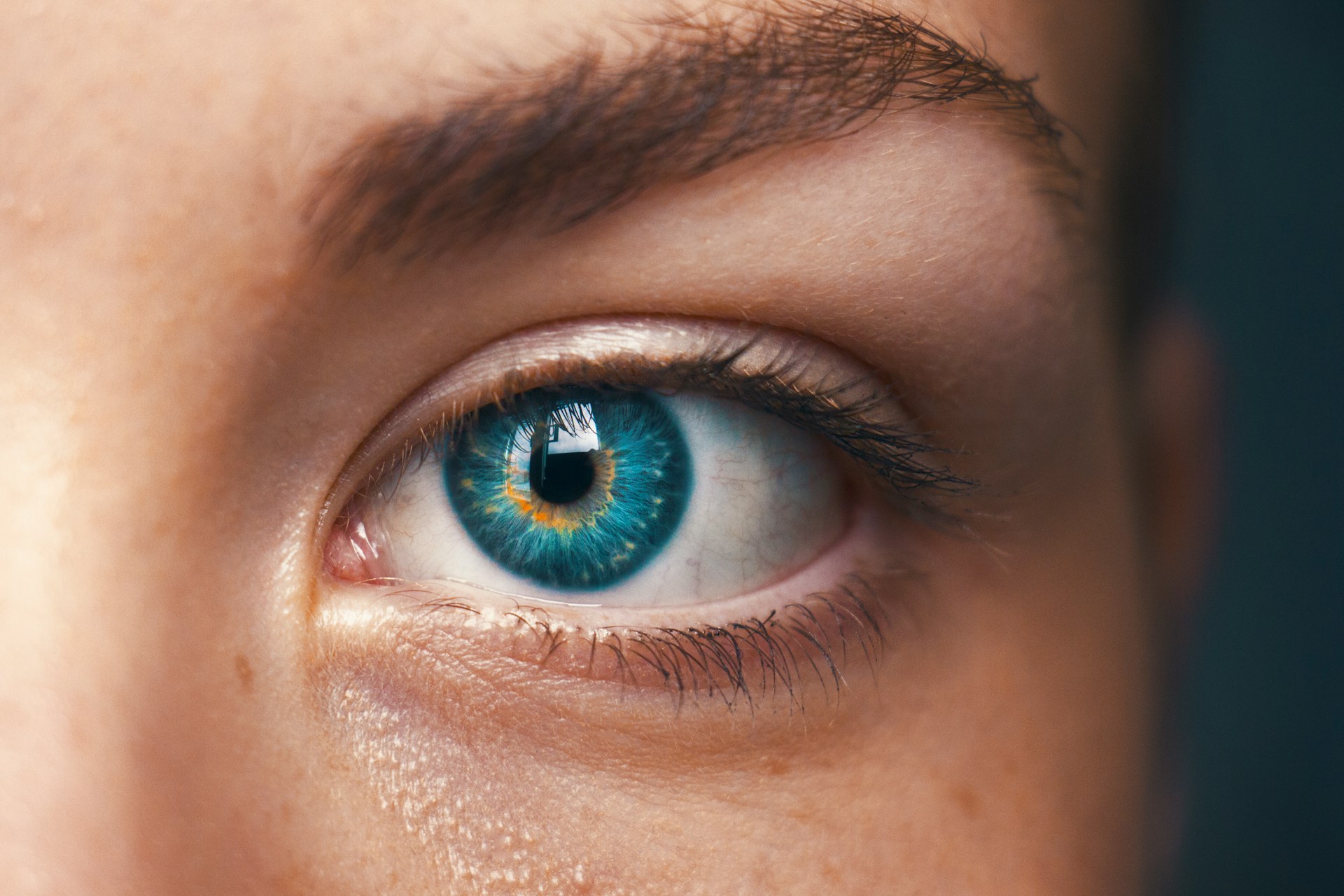 Would You Rather Lose One Eye Or Both Ears?
