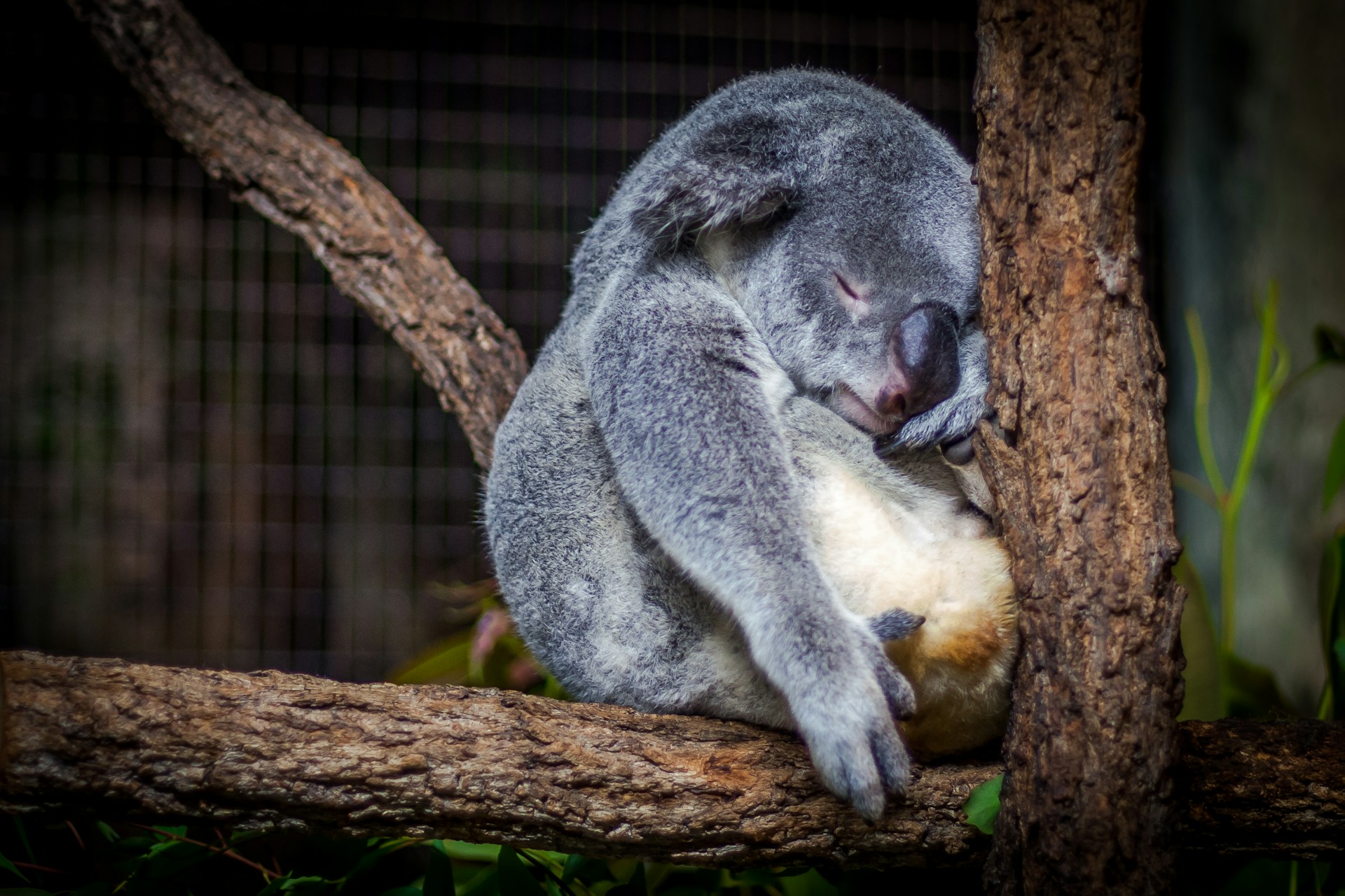 Would You Rather Always Feel 10 Percent Hungry Or Sleepy All The Time?