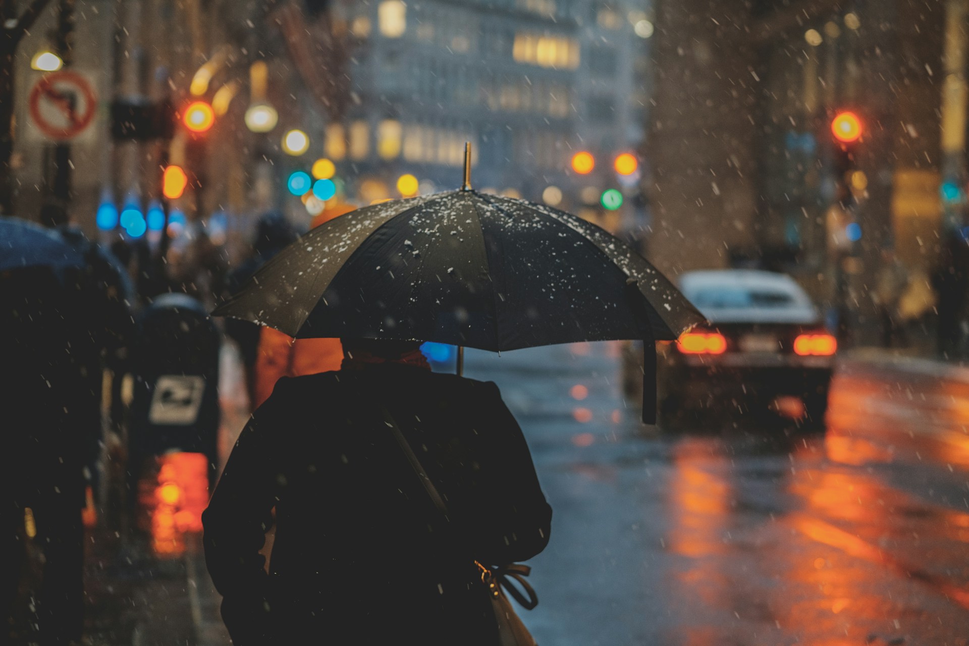 Would You Rather Control The Weather Or Speak To Animals?