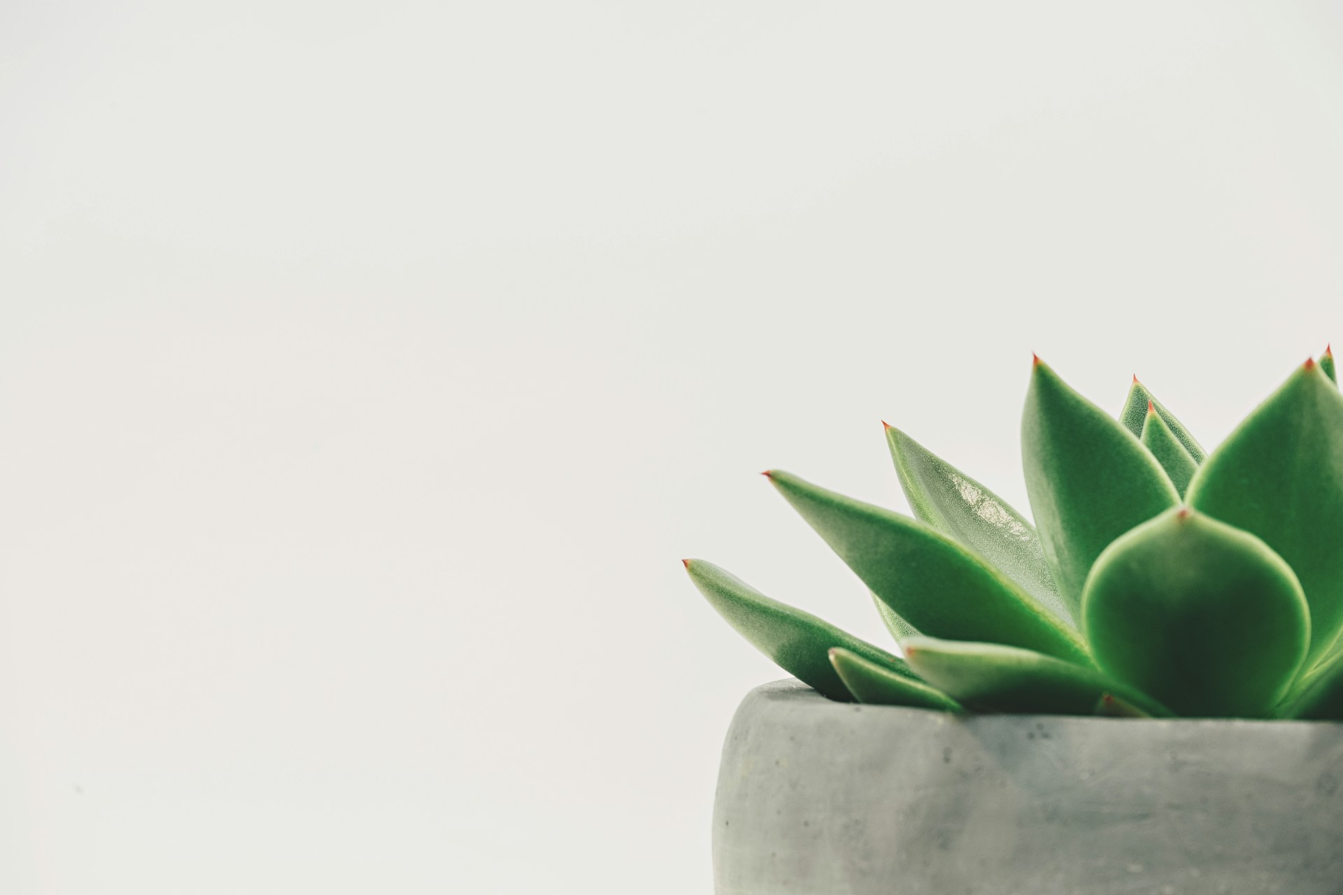Would You Rather Talk To Ghosts Or Plants?