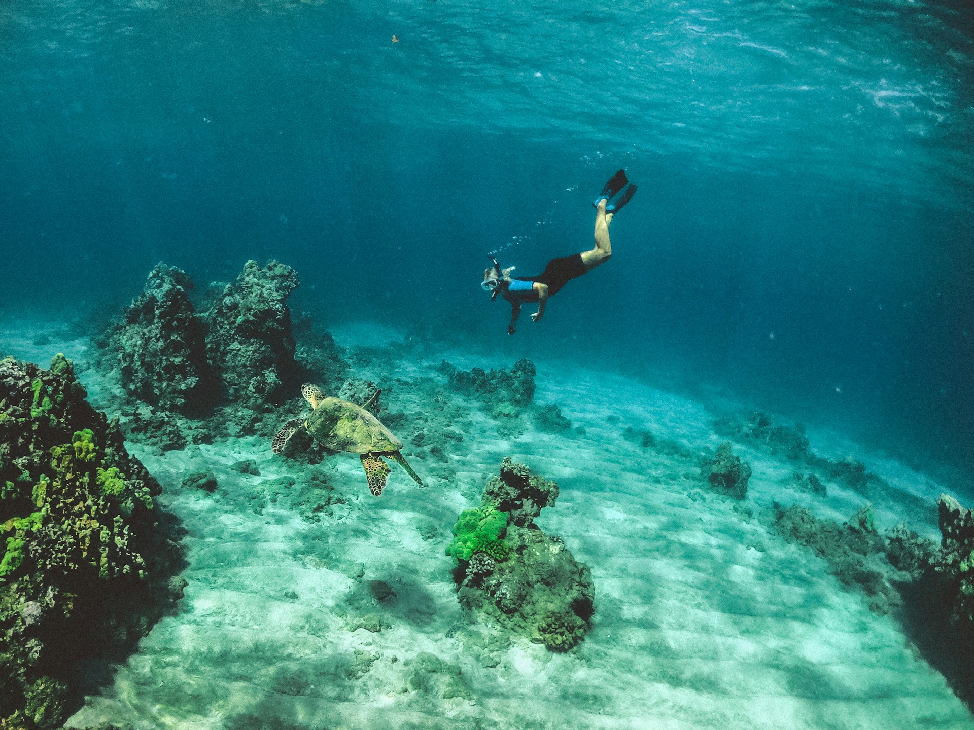 Would You Rather Instantly Know How To Fly A Plane Or Scuba Dive?