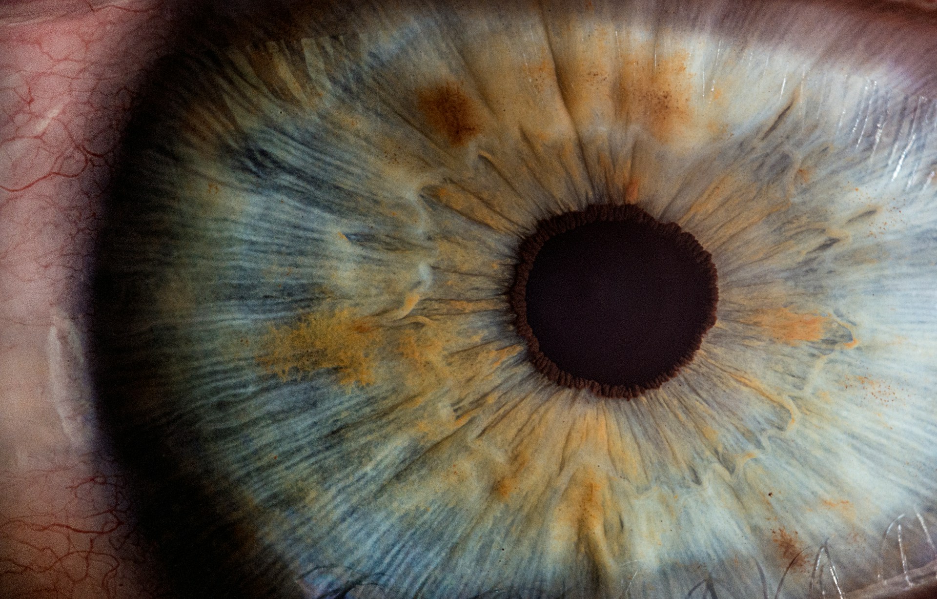 Would You Rather Be Able To See Minutes Or Decades Into The Future?