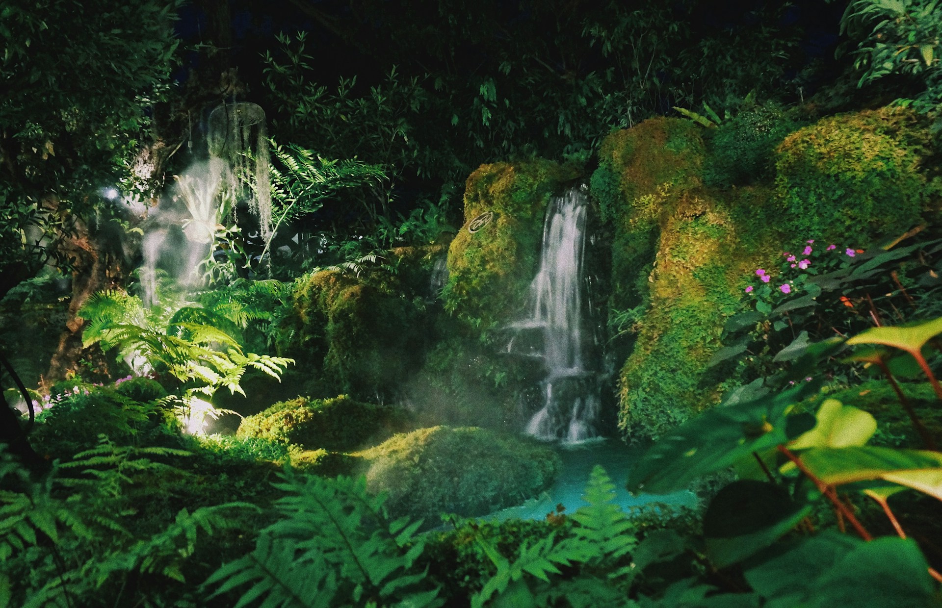 Would You Rather Be Stranded In A Jungle Or Desert?