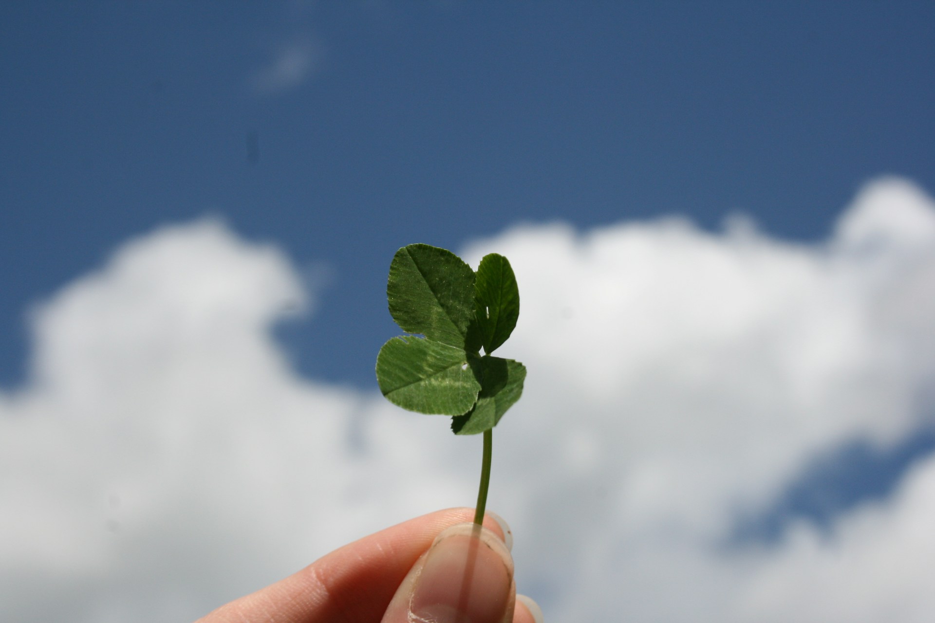 Would You Rather Have Unlimited Luck Or A 160 IQ?