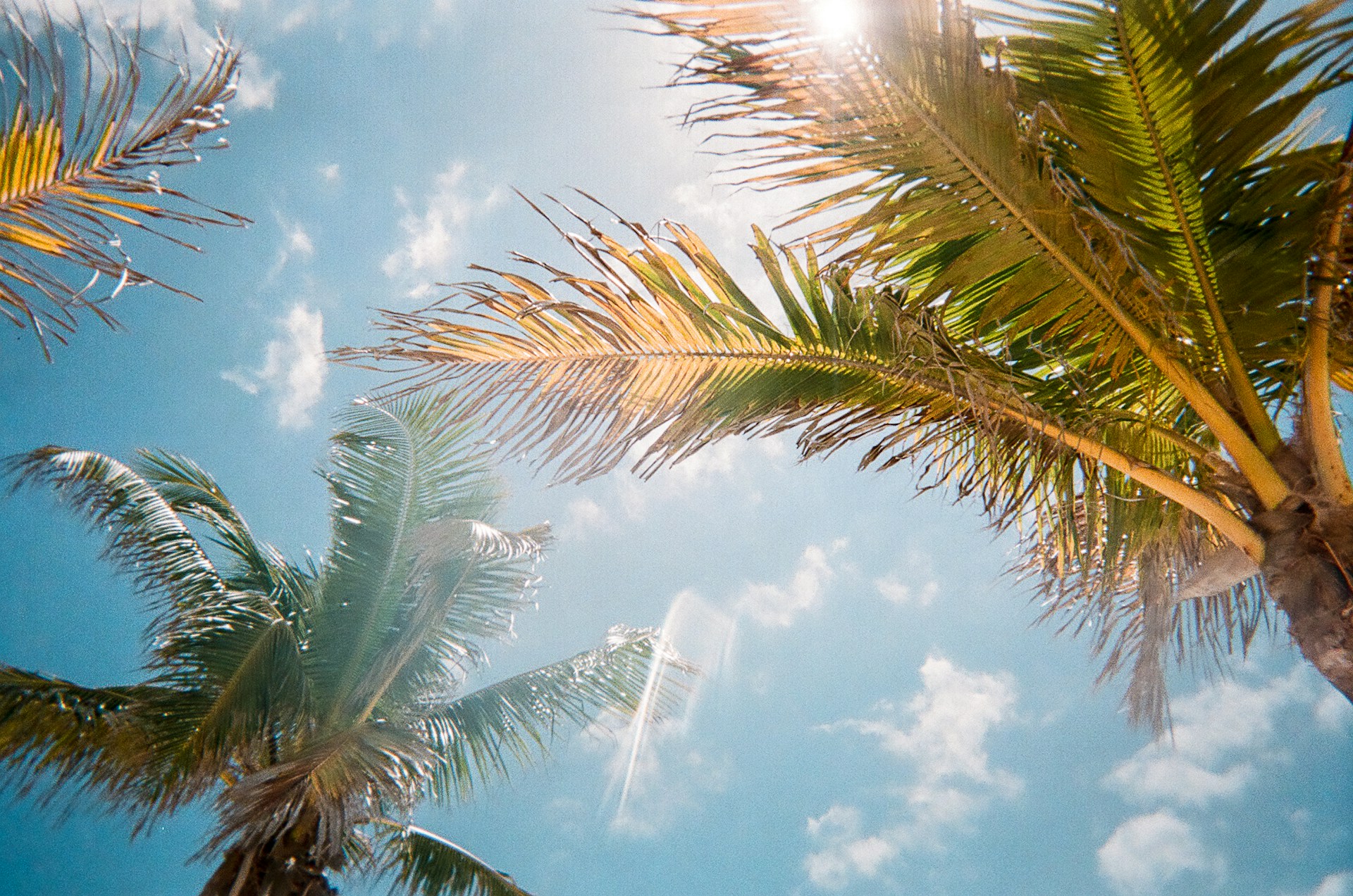 Would You Rather Live Somewhere Too Hot Or Too Cold All Year Round?