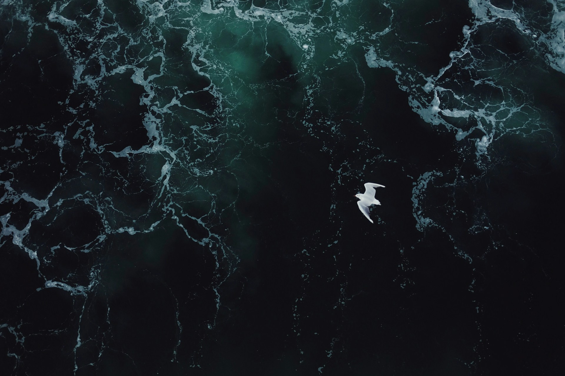 Would You Rather Explore The Moon Or Deep Ocean?