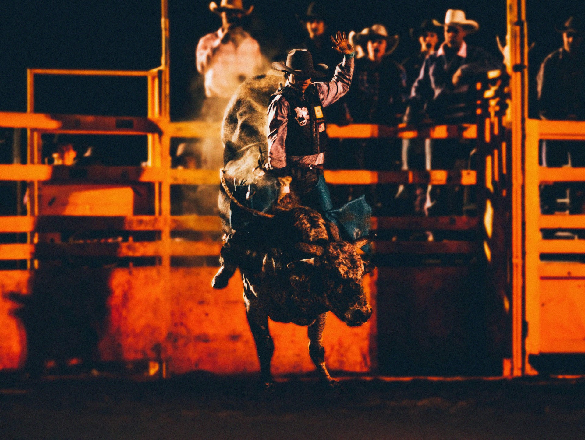Would You Rather Be The Cowboy Riding The Bull Or Clown Distracting It?