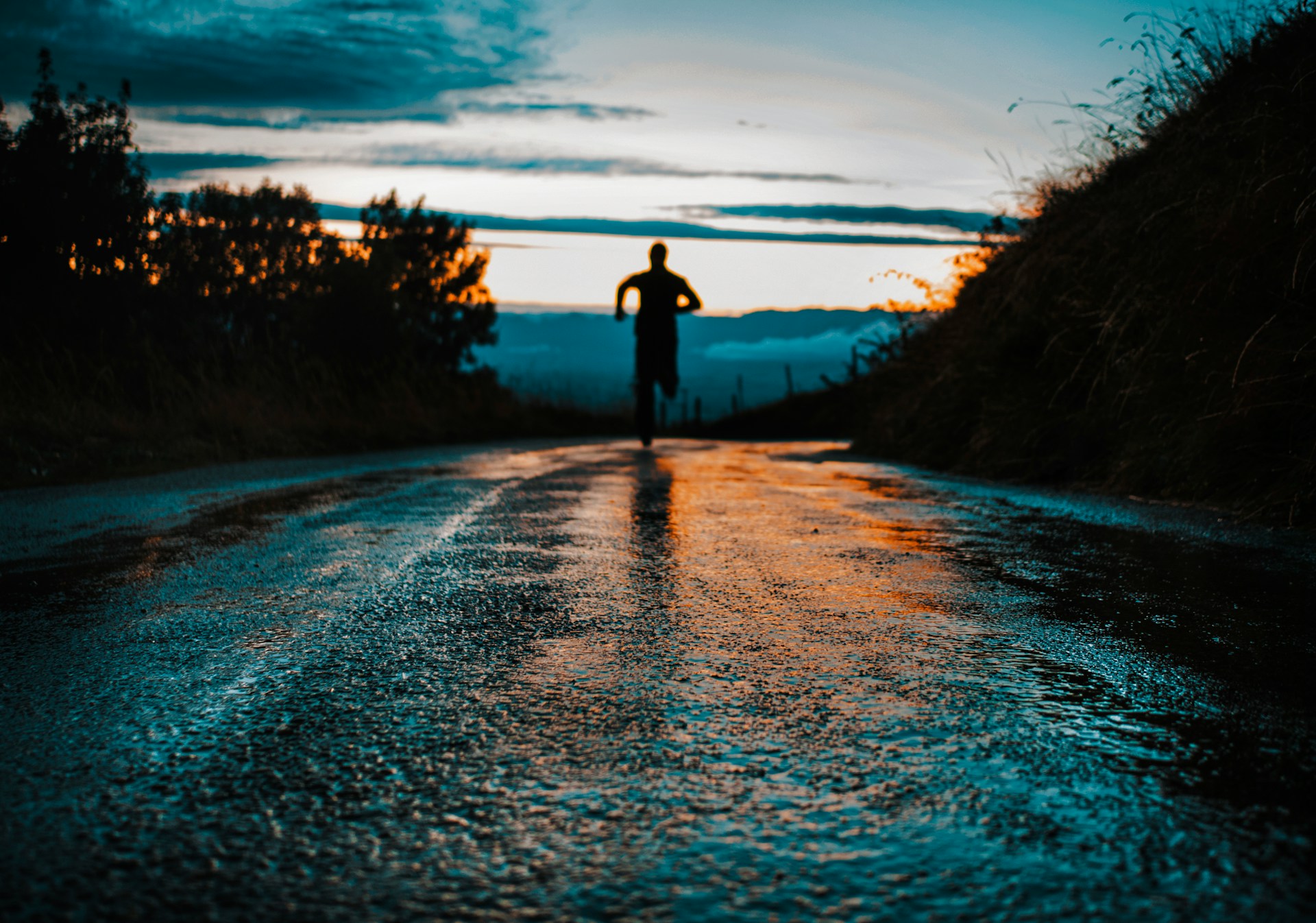 Would You Rather Run At 100 mph Or Fly At 20 mph?