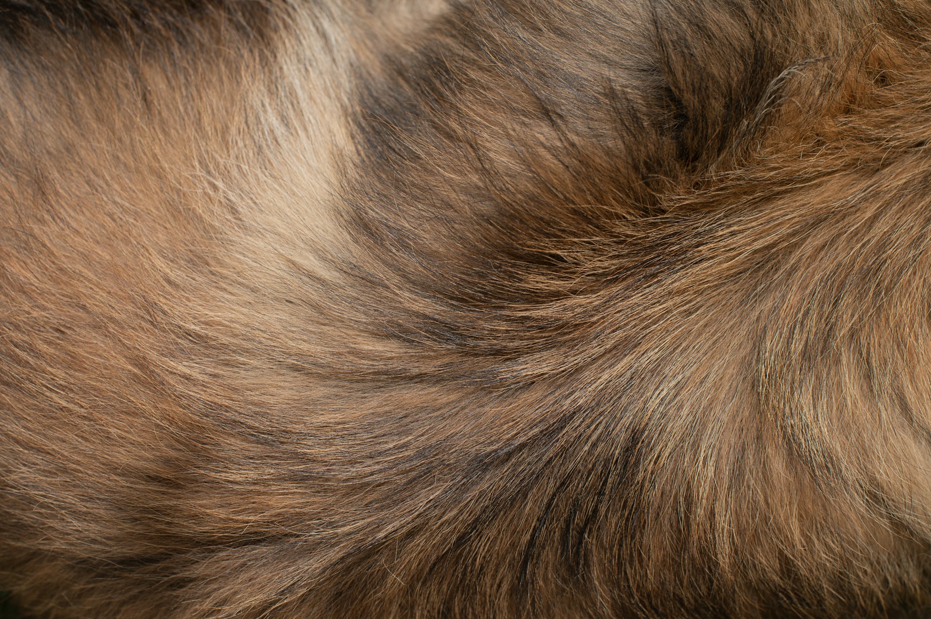 Would You Rather Be Covered In Fur Or Covered In Scales?