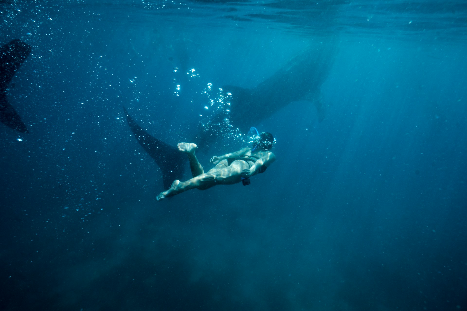 Would You Rather Be Able To Breathe Underwater Or Be Invisible For 2 Minutes?