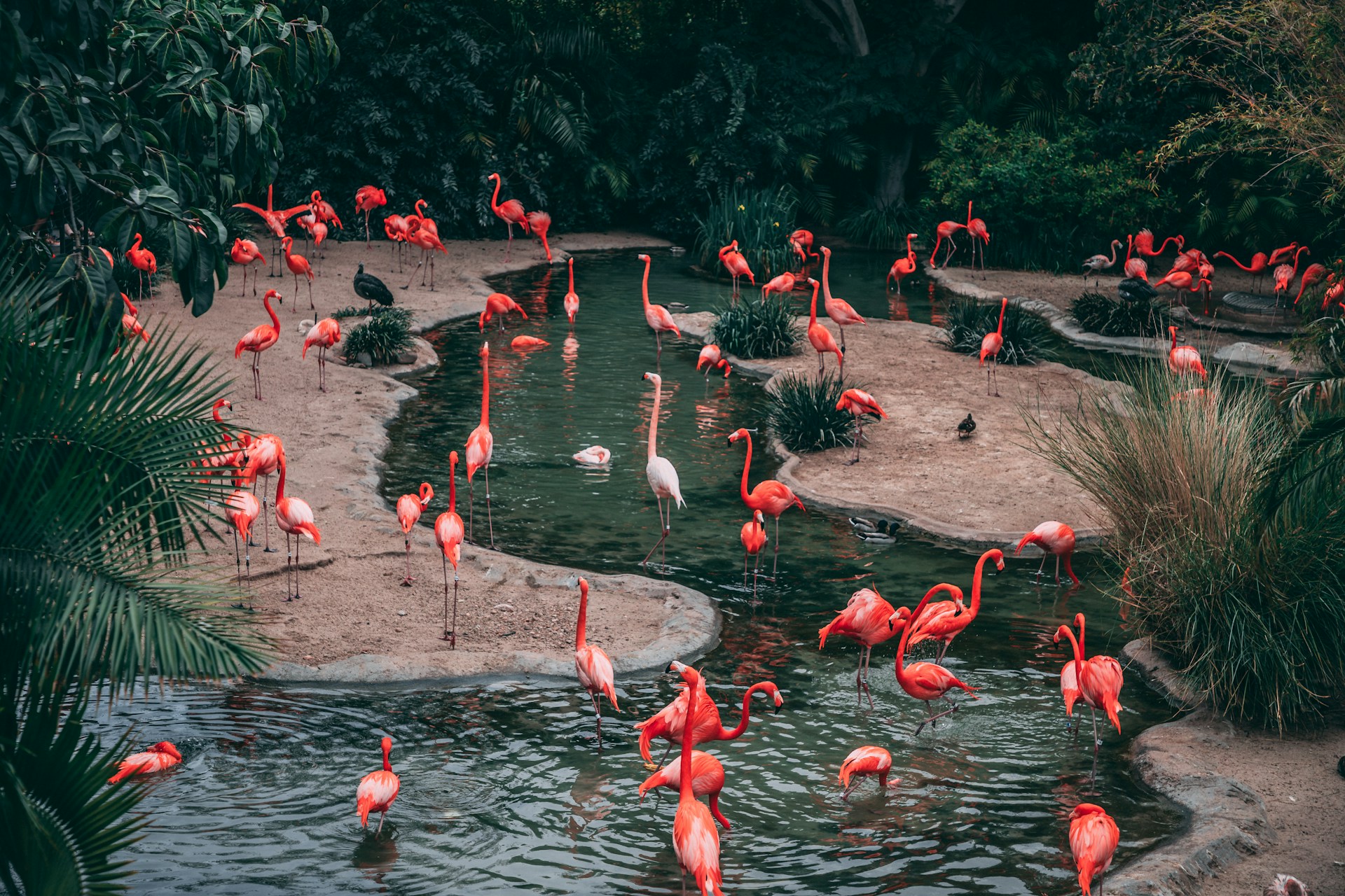 Would You Rather Have Your Own Theme Park Or Zoo?