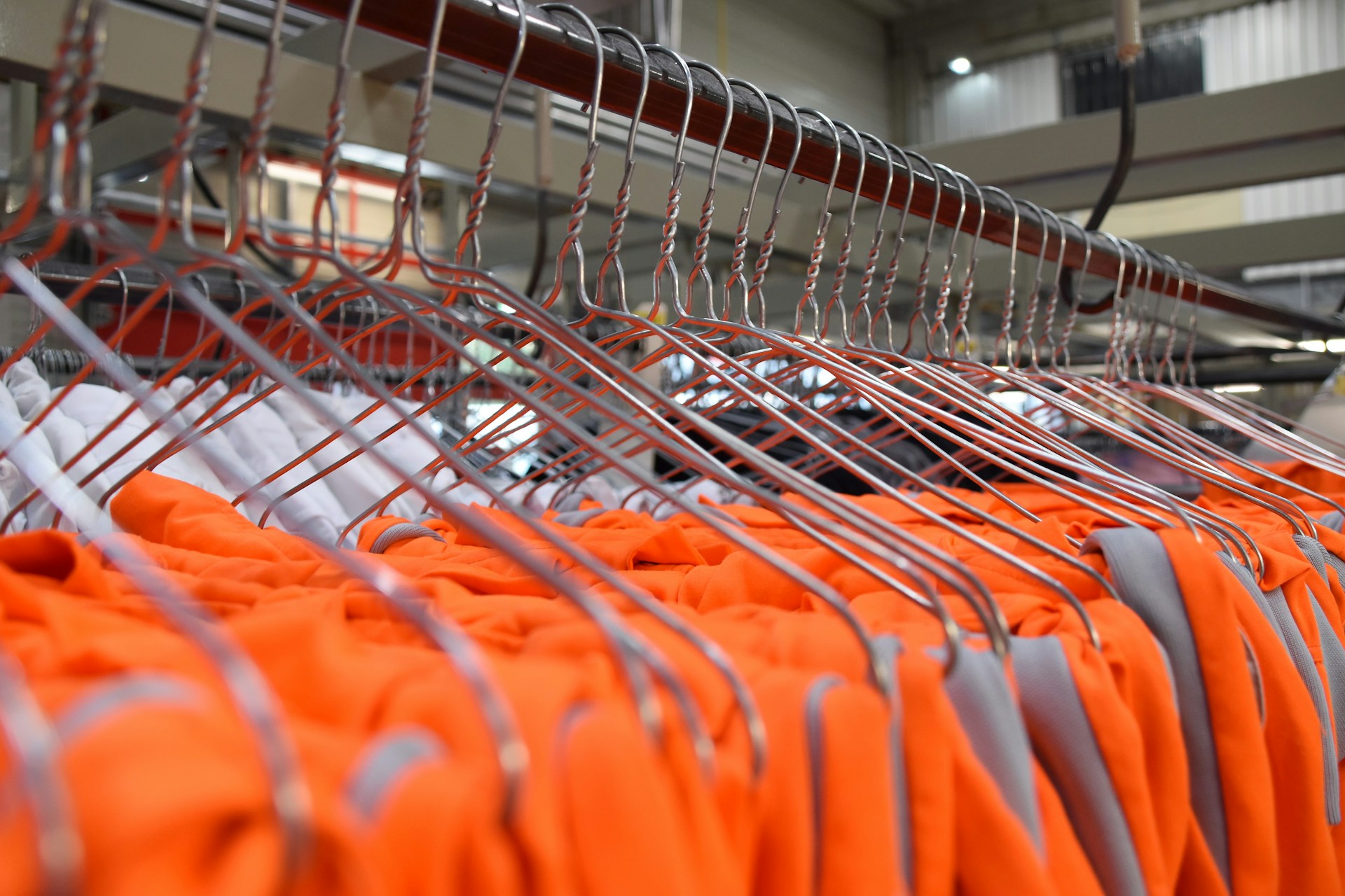 Would You Rather Wear Nothing But Neon Orange Or All White For 1 Year?