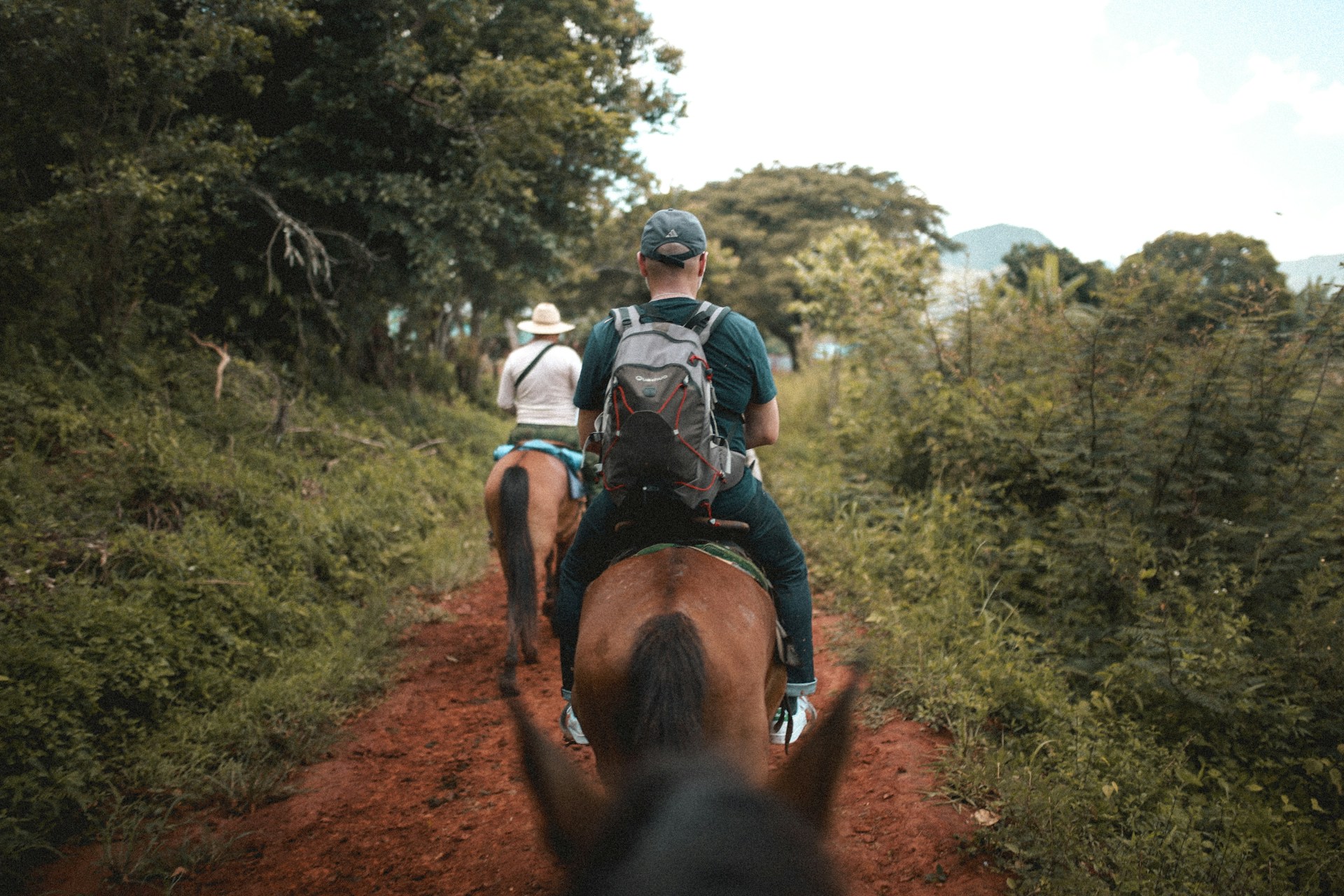 Would You Rather Travel Everywhere By Bicycle Or Horseback?