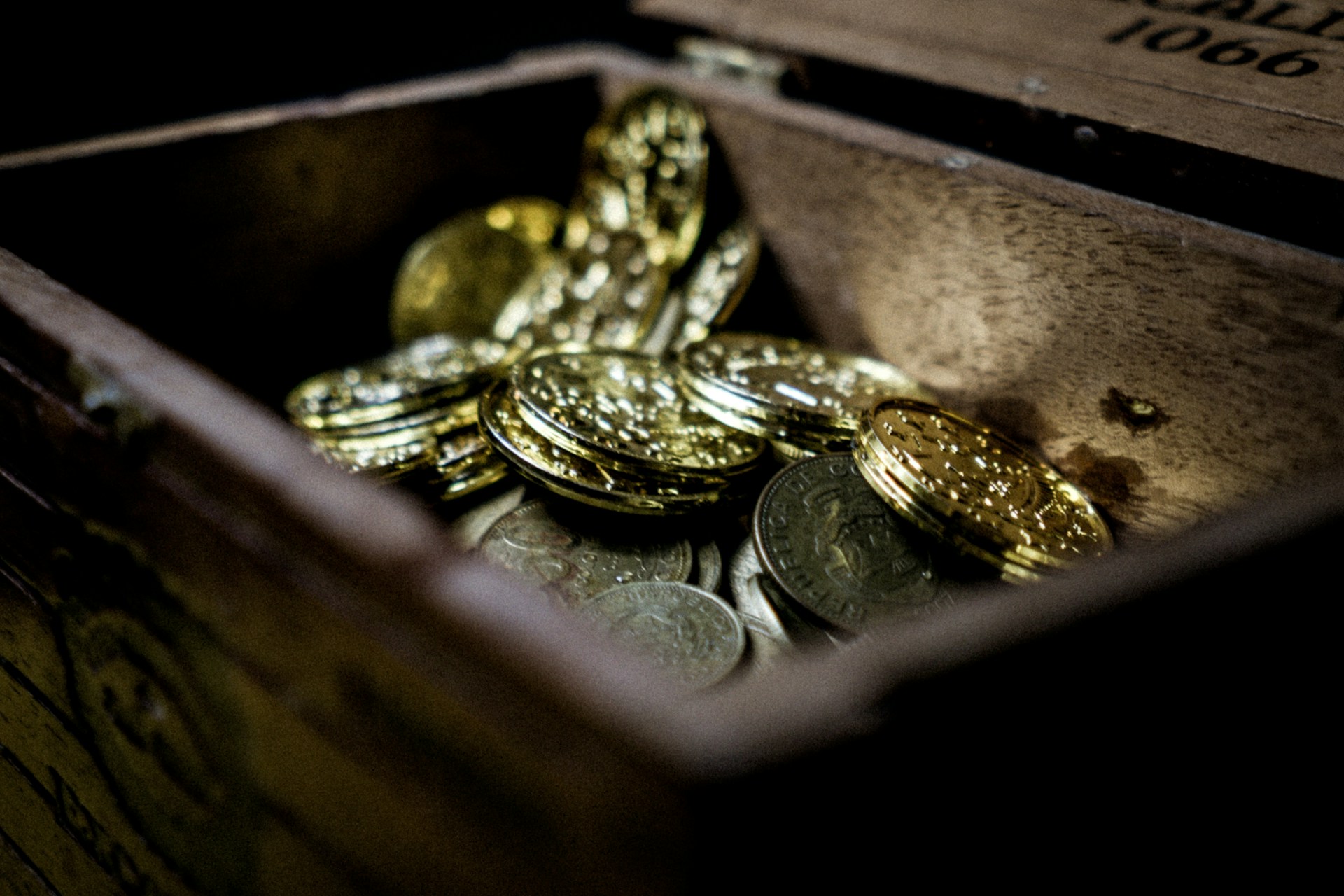 Would You Rather Discover Treasure Or The World’s Rarest Fossil?