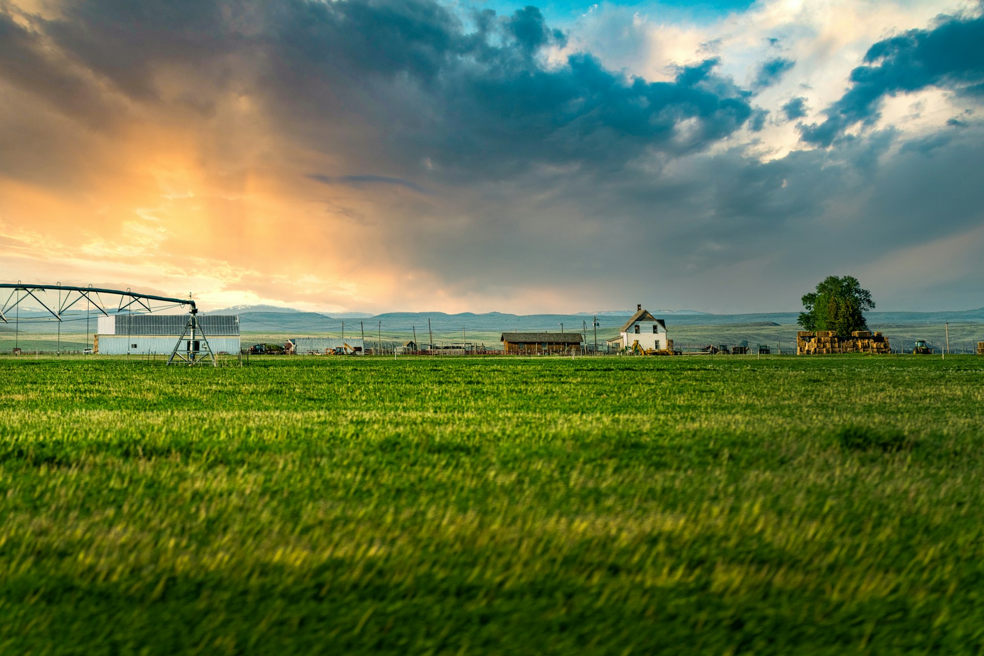 Would You Rather Run A Big Farm or Big Tech Company?