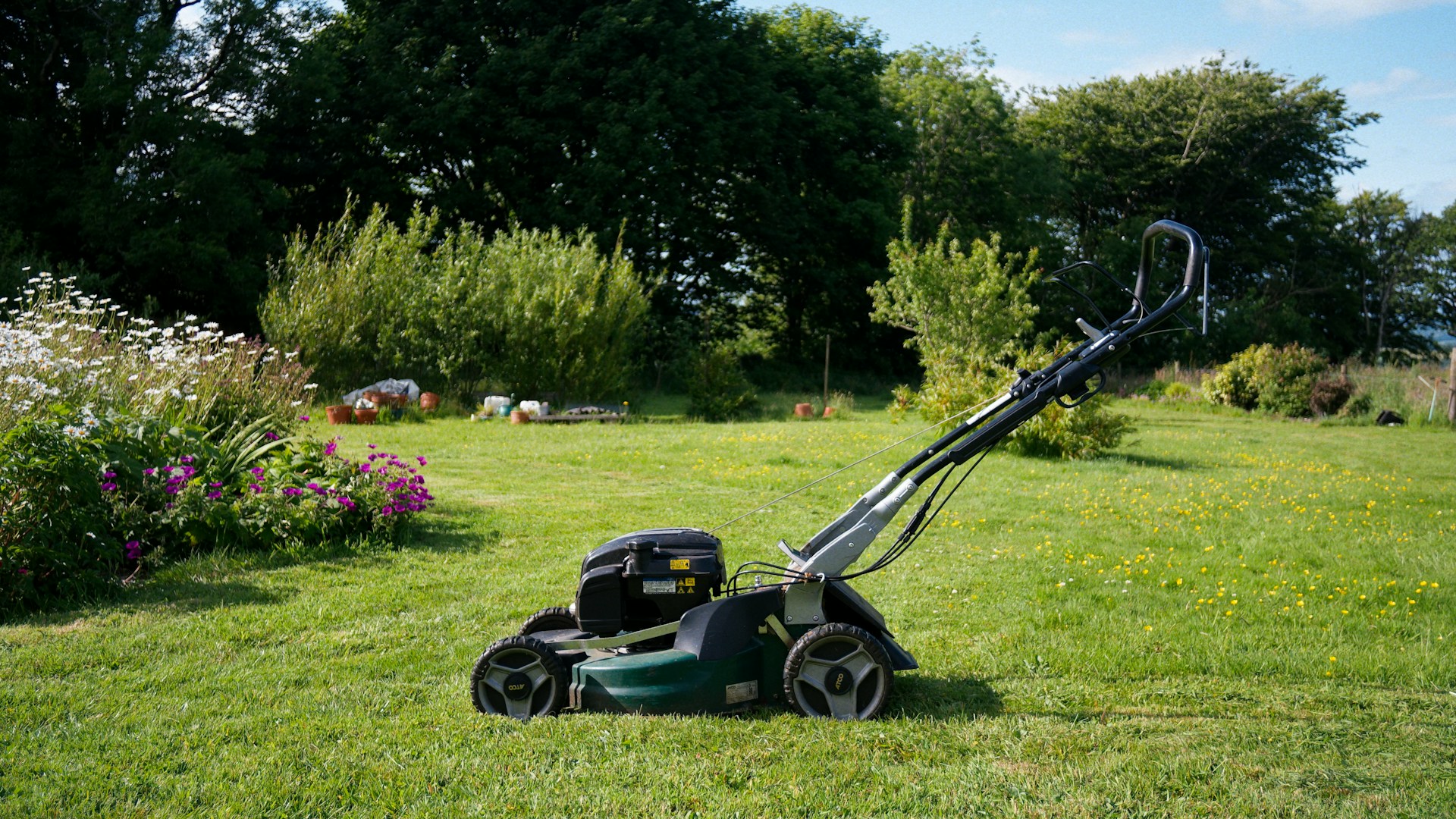 Would You Rather Smell Like Freshly Cut Grass or The Beach?