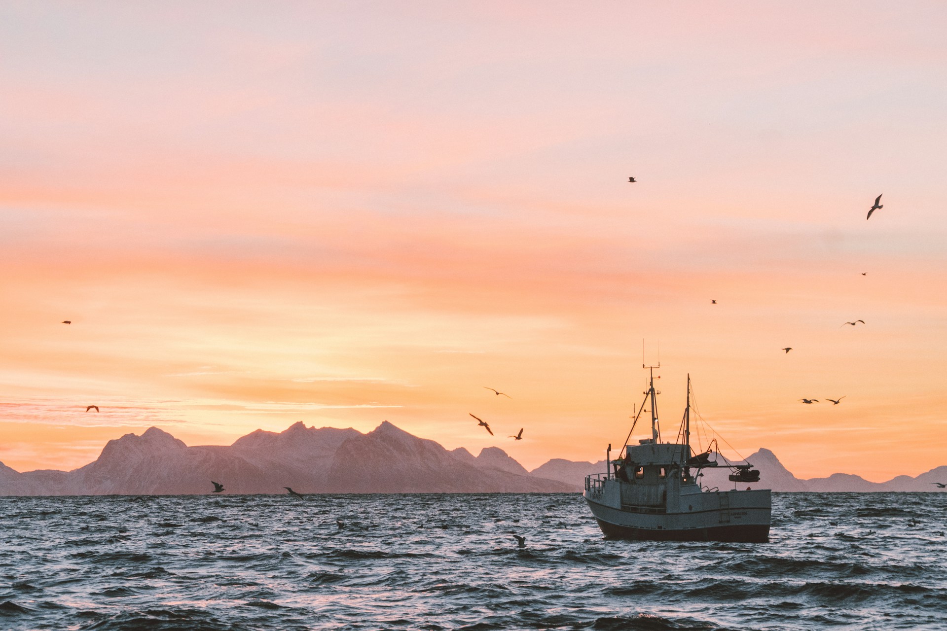 Would You Rather Work On An Oil Rig or Fishing Boat?