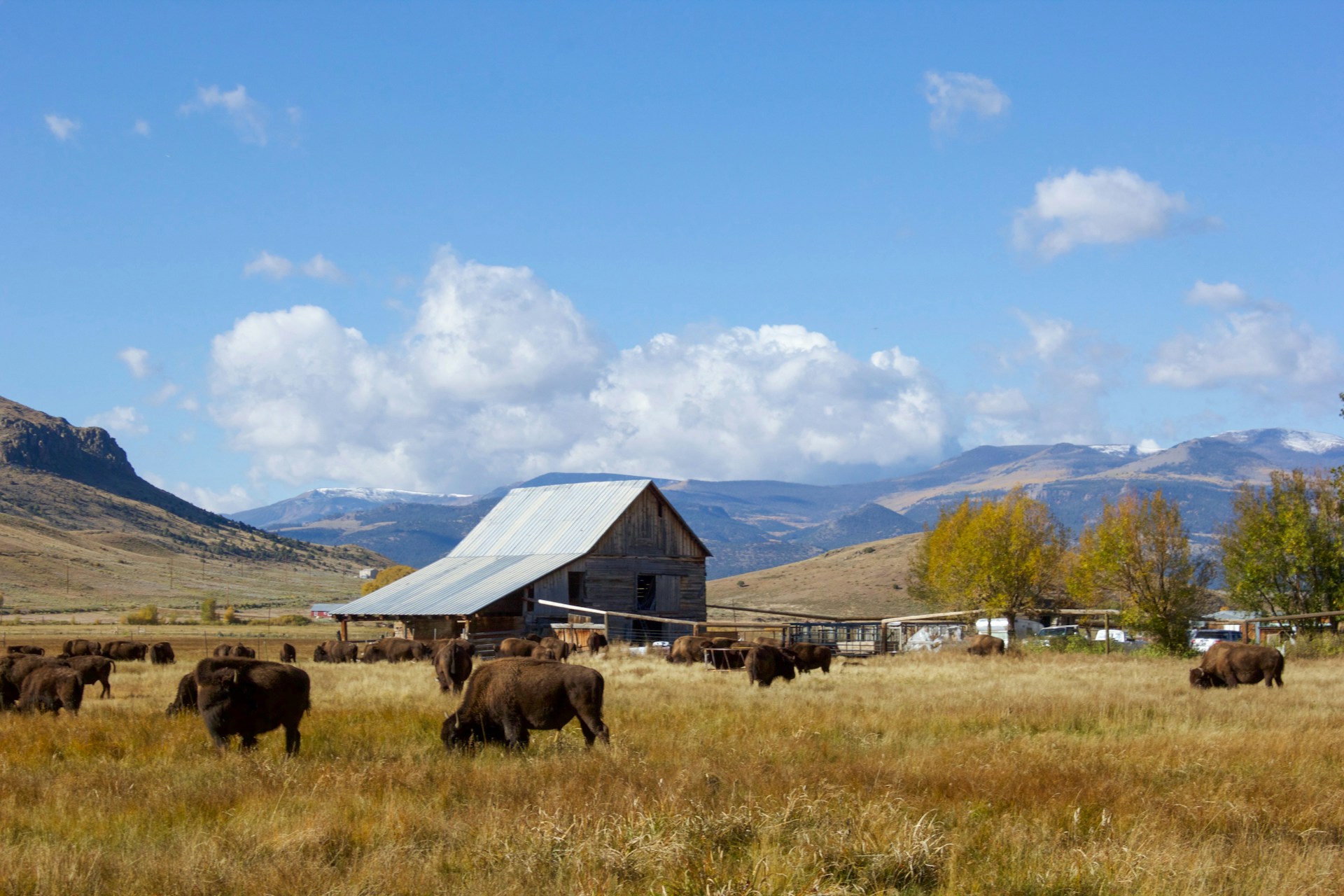 Would You Rather Have A Penthouse In The City or Ranch In The Country?