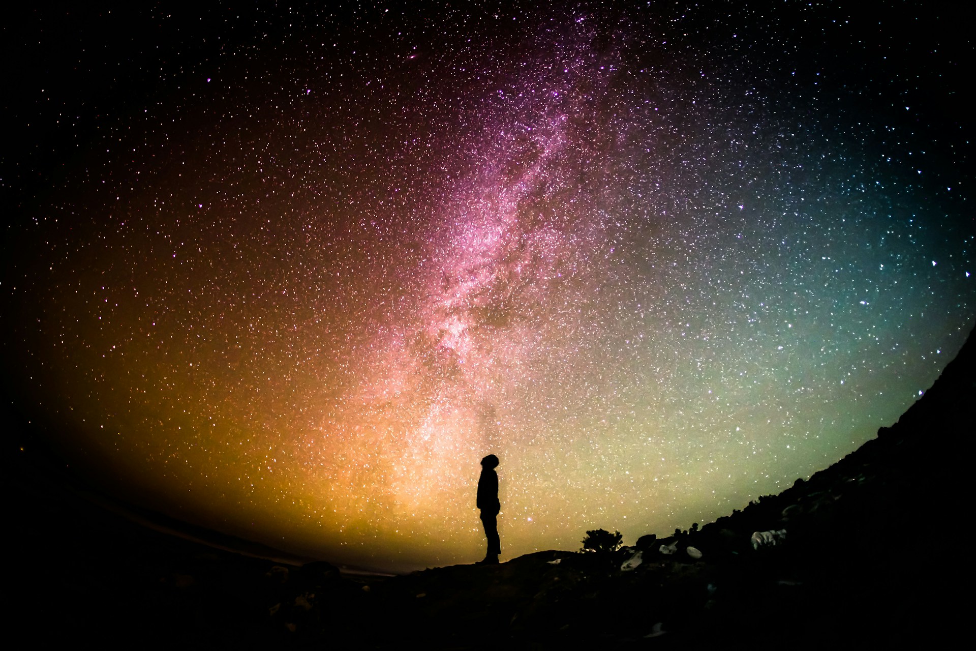 Would You Rather Build Your Life Around Passion Or Stability?