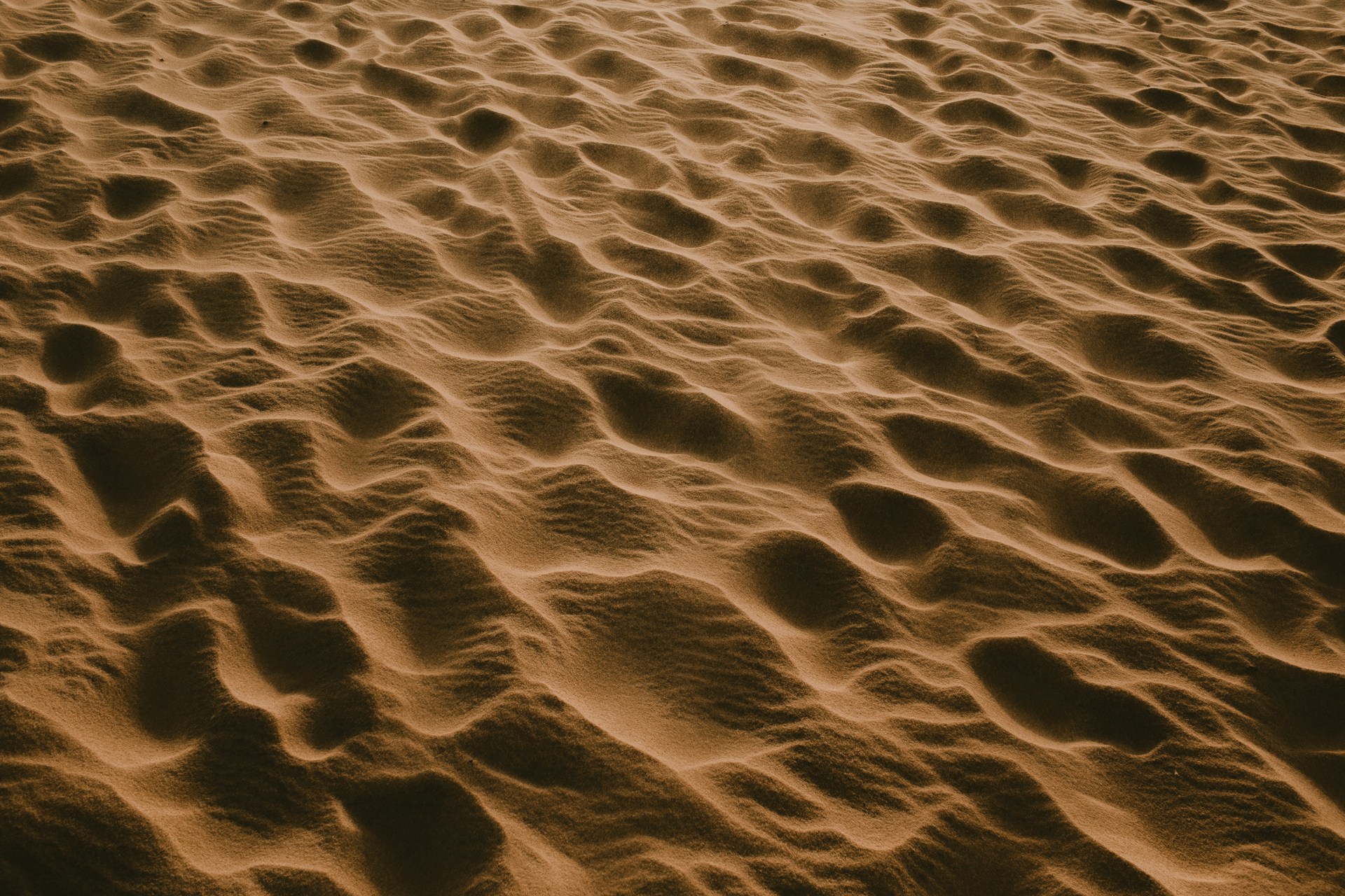 Would You Rather Be Stuck In Quicksand or A Bear Trap?