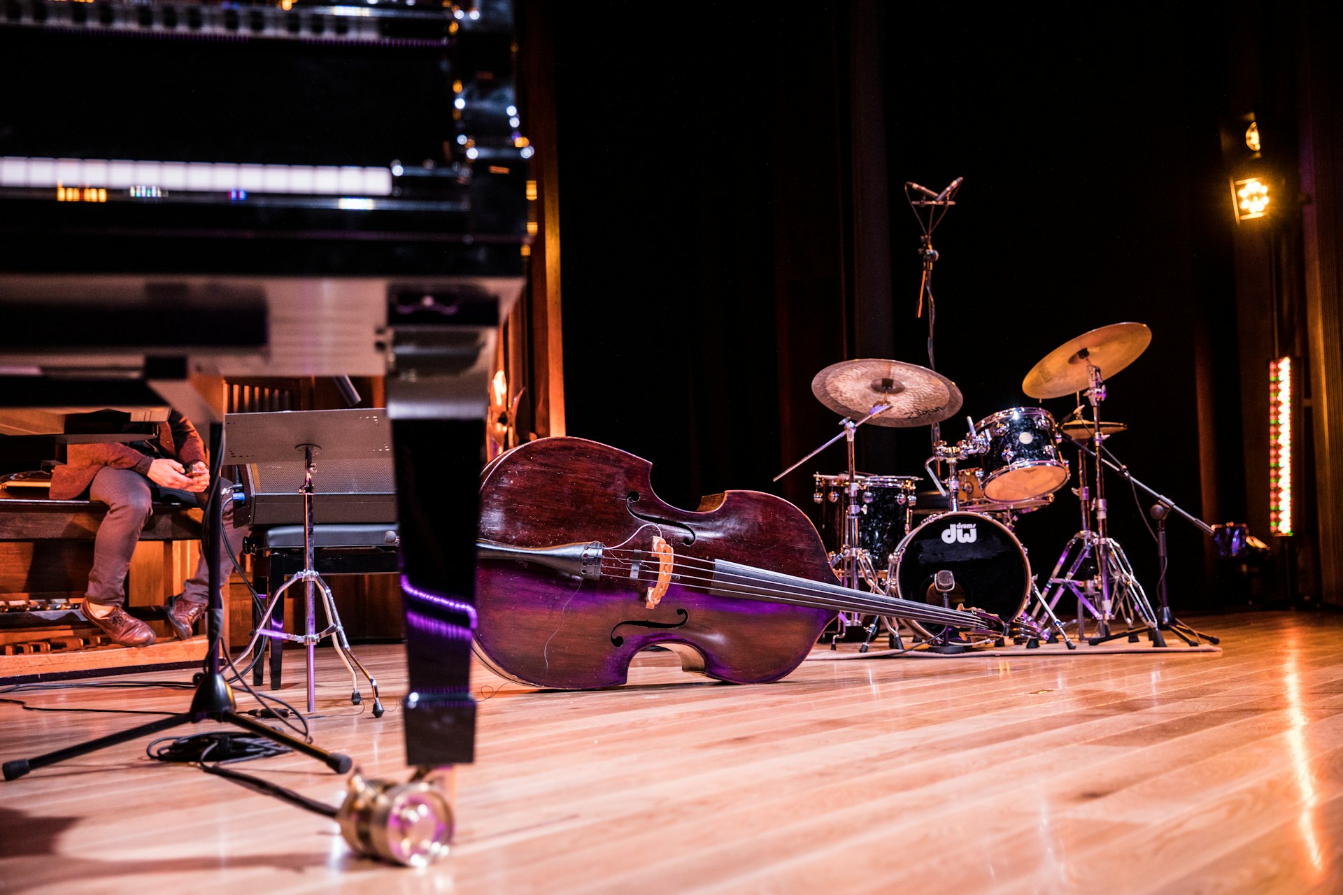 Would You Rather Be An Incredible Singer Or Play Every Instrument?