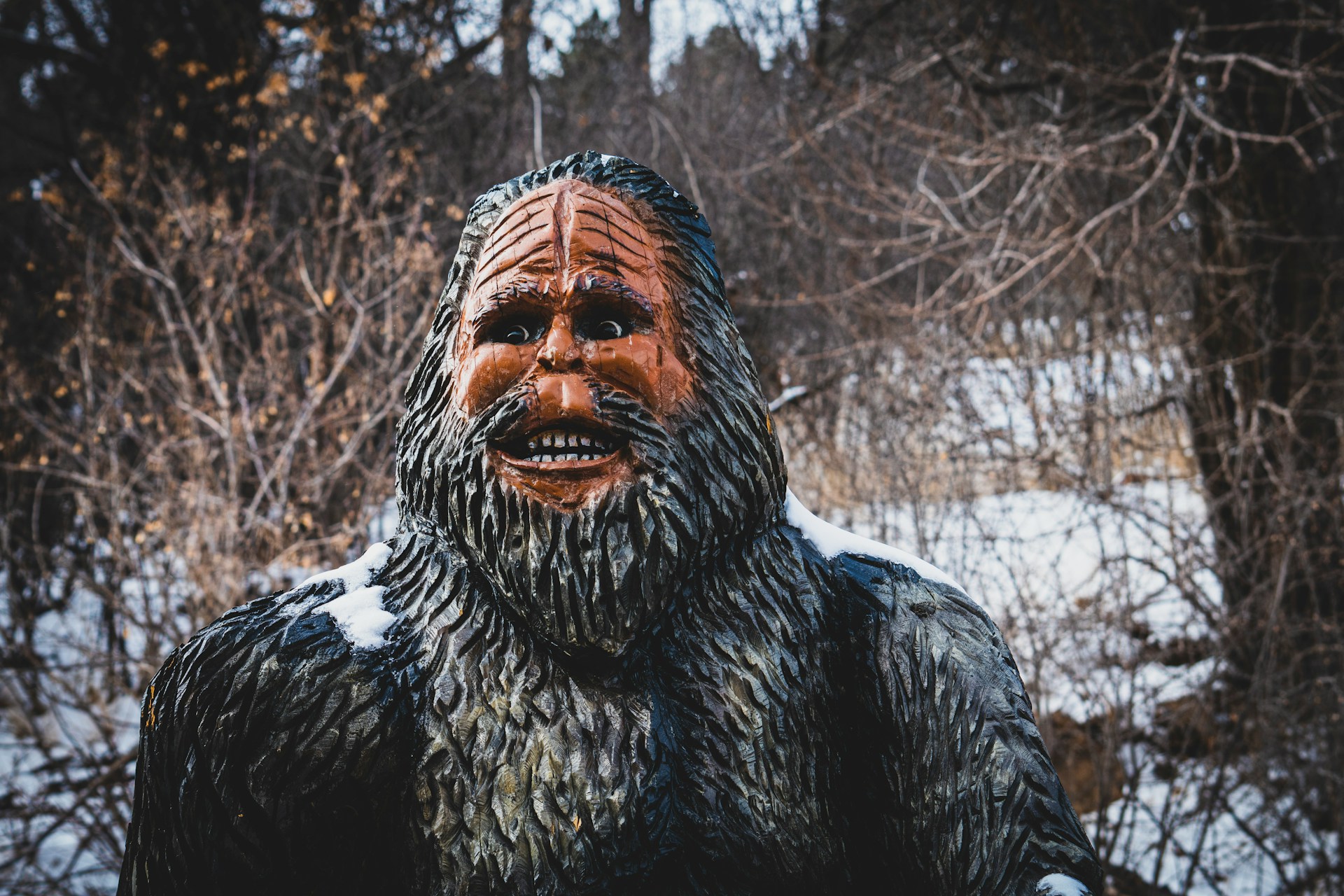 Would You Rather Capture Bigfoot or Find An Alien Spaceship?
